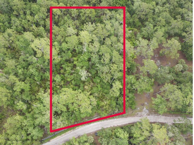Stuart Cove Rd, Crawfordville, FL 32327 - photo 6