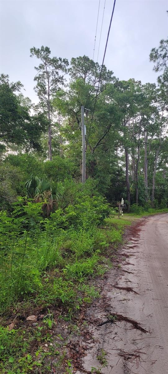 Stuart Cove Rd, Crawfordville, FL 32327 - photo 7