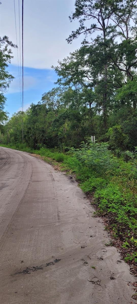 Stuart Cove Rd, Crawfordville, FL 32327 - photo 8