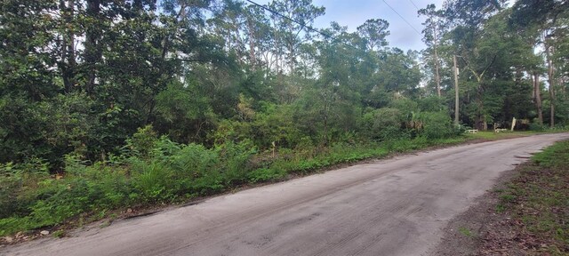 Stuart Cove Rd, Crawfordville, FL 32327 - photo 10