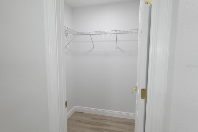 814 W 131st Ave, Tampa, FL 33612 - spacious closet featuring light wood-style flooring