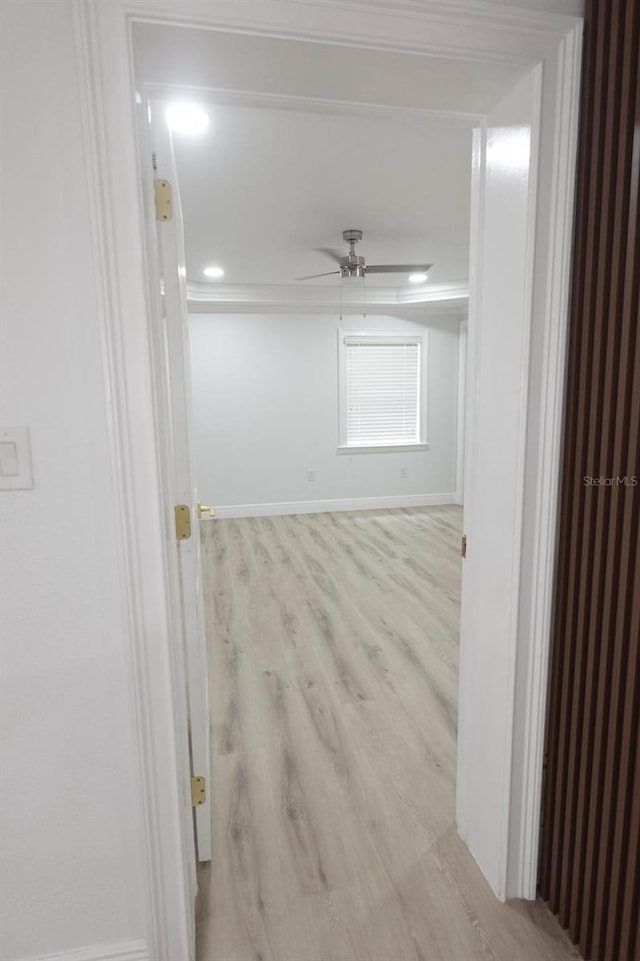814 W 131st Ave, Tampa, FL 33612 - corridor with wood finished floors and baseboards