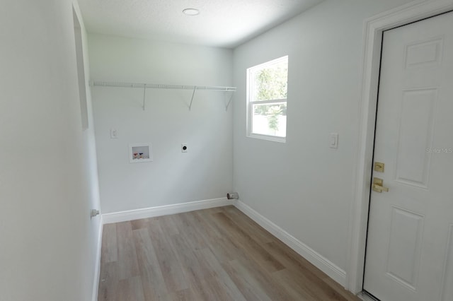 814 W 131st Ave, Tampa, FL 33612 - laundry room with light wood-style flooring, electric dryer hookup, and washer hookup