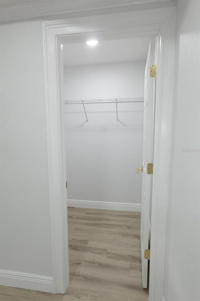 814 W 131st Ave, Tampa, FL 33612 - spacious closet with light wood-style floors