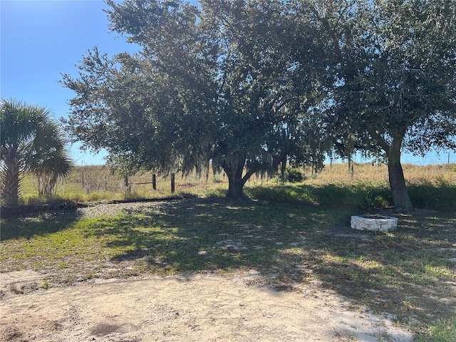 103 Thornbush Pkwy, Davenport, FL 33837 - view of yard