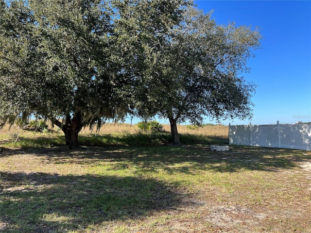 103 Thornbush Pkwy, Davenport, FL 33837 - view of green lawn
