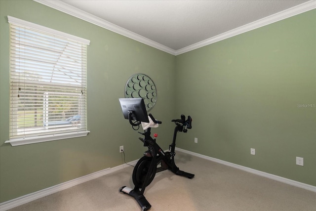 19409 Wingrove Ln, Lutz, FL 33558 - workout area with plenty of natural light, crown molding, and carpet flooring