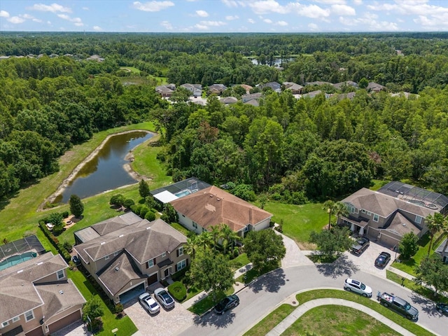 19409 Wingrove Ln, Lutz, FL 33558 - aerial view of residential area featuring a heavily wooded area and a large body of water