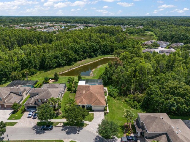 19409 Wingrove Ln, Lutz, FL 33558 - aerial perspective of suburban area featuring a heavily wooded area and a nearby body of water