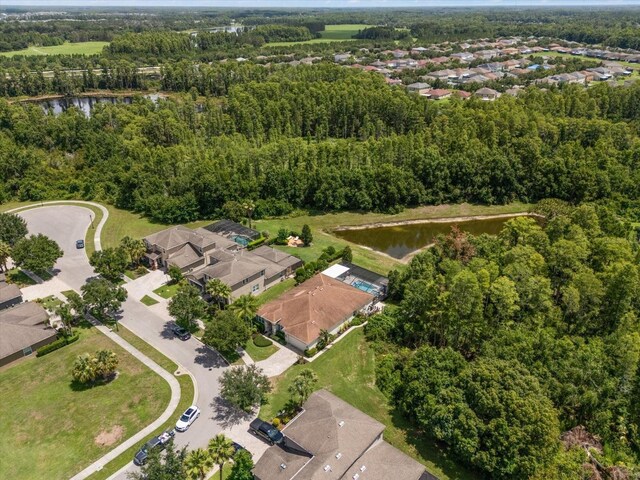 19409 Wingrove Ln, Lutz, FL 33558 - view of property location featuring a large body of water and nearby suburban area