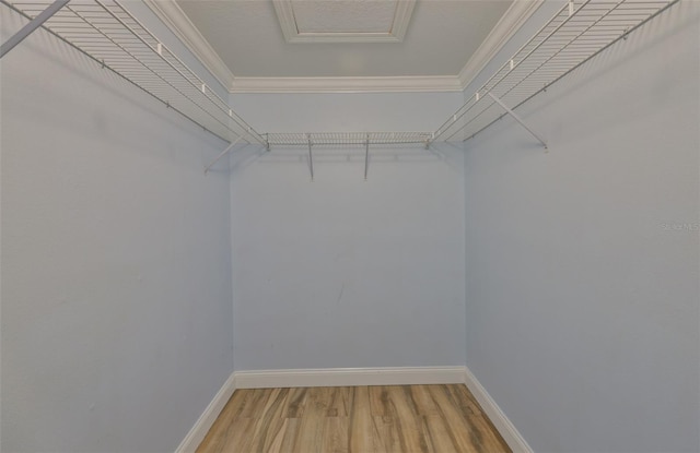 1112 Mcdaniel St Unit 78, Sun City Center, FL 33573 - photo 31