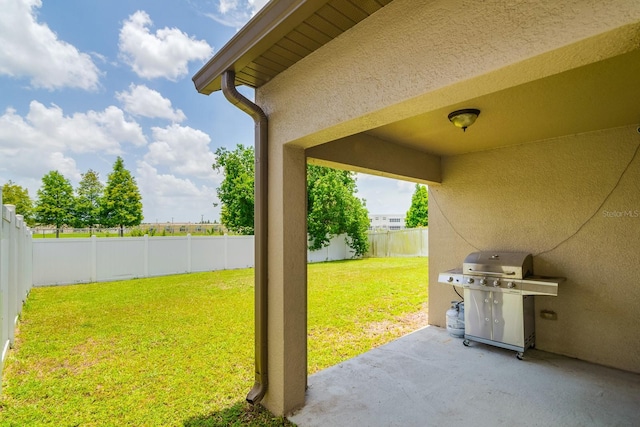 18508 Merseyside Loop, Land O Lakes, FL 34638 - fenced backyard with area for grilling and a patio