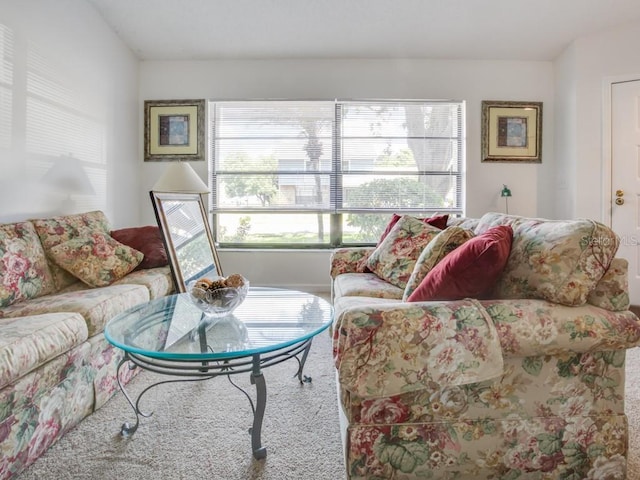 1610 Sanderling Ct, Brandon, FL 33511 - living room featuring healthy amount of natural light