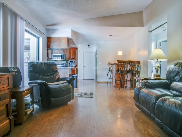 1610 Sanderling Ct, Brandon, FL 33511 - living room featuring wood finished floors and lofted ceiling