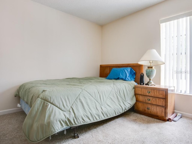 1610 Sanderling Ct, Brandon, FL 33511 - bedroom featuring carpet flooring