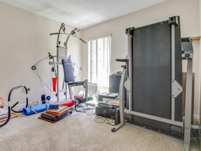 1610 Sanderling Ct, Brandon, FL 33511 - exercise area featuring carpet flooring and a textured ceiling