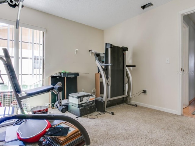 1610 Sanderling Ct, Brandon, FL 33511 - workout room with carpet flooring and a textured ceiling