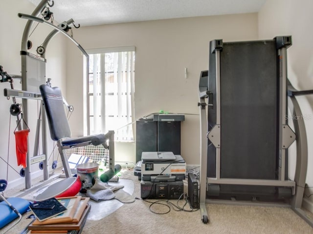 1610 Sanderling Ct, Brandon, FL 33511 - exercise room with carpet flooring