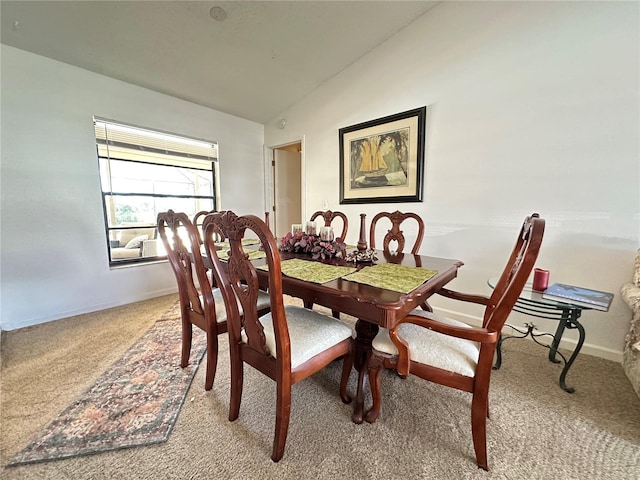 1610 Sanderling Ct, Brandon, FL 33511 - photo 14