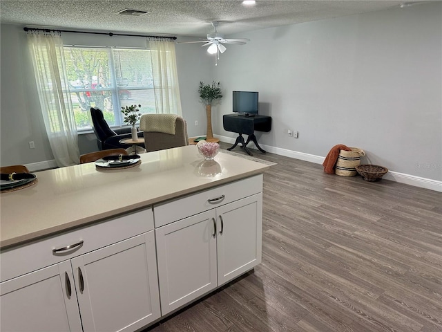 7301 Mitchell Ranch Rd, New Port Richey, FL 34655 - kitchen with ceiling fan, a textured ceiling, dark wood finished floors, white cabinetry, and light countertops