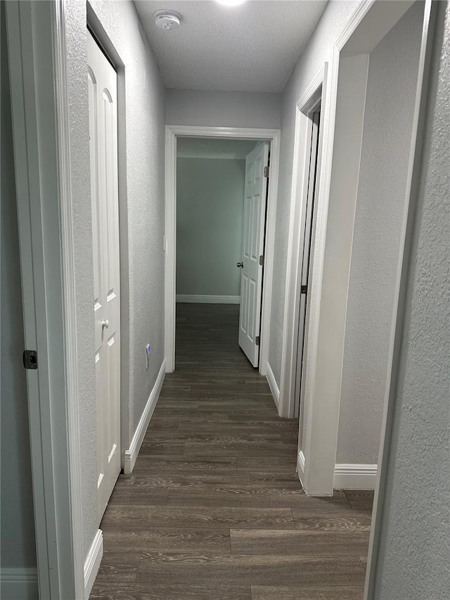 7301 Mitchell Ranch Rd, New Port Richey, FL 34655 - hall with dark wood-type flooring and a textured wall