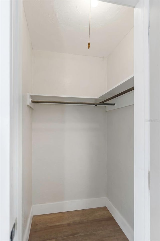245 Grove Cir N, Dunedin, FL 34698 - spacious closet with wood finished floors