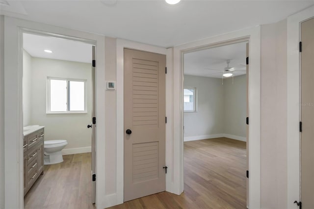 245 Grove Cir N, Dunedin, FL 34698 - hallway with light wood-type flooring and plenty of natural light