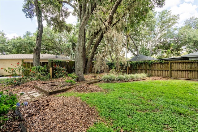 616 Pawn Way, Seffner, FL 33584 - view of yard