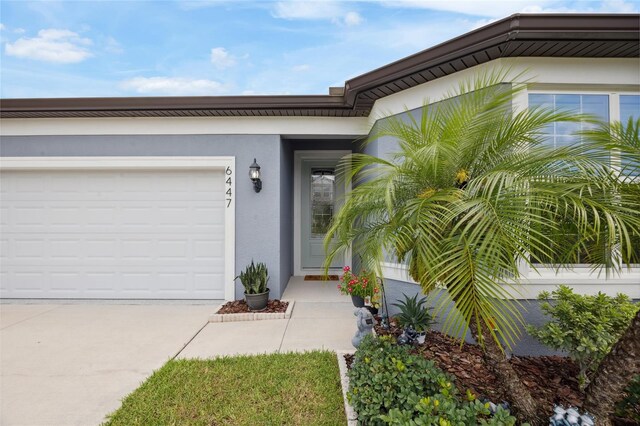 6447 Bradford Woods Dr, Zephyrhills, FL 33542 - photo 3