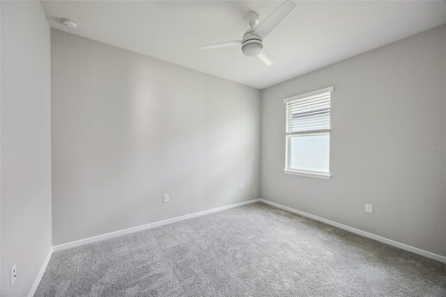 6447 Bradford Woods Dr, Zephyrhills, FL 33542 - photo 24