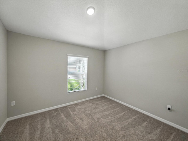 12931 Twin Bridges Dr, Riverview, FL 33579 - carpeted empty room with baseboards