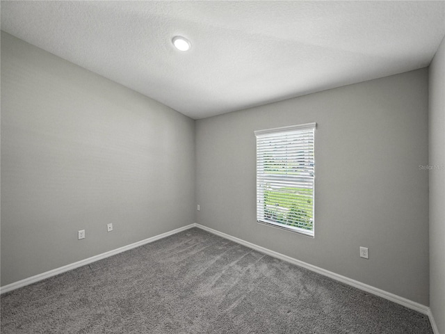 12931 Twin Bridges Dr, Riverview, FL 33579 - carpeted spare room with baseboards and a textured ceiling