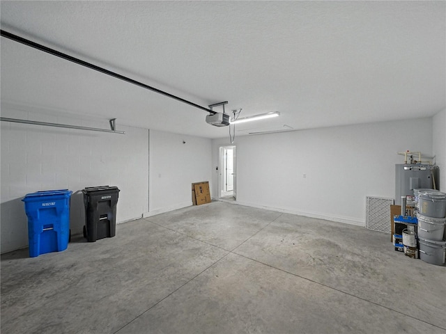 12931 Twin Bridges Dr, Riverview, FL 33579 - garage featuring water heater and a garage door opener