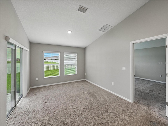 12931 Twin Bridges Dr, Riverview, FL 33579 - spare room featuring carpet, lofted ceiling, and a textured ceiling