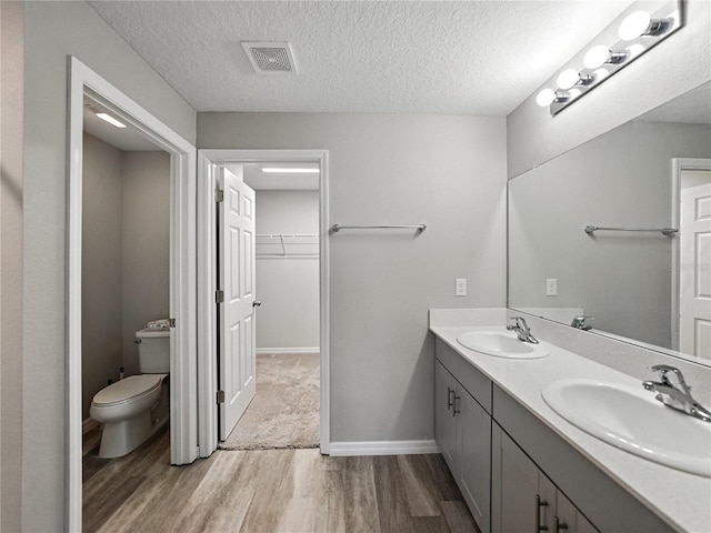 12931 Twin Bridges Dr, Riverview, FL 33579 - bathroom with wood finished floors, double vanity, a walk in closet, and a textured ceiling