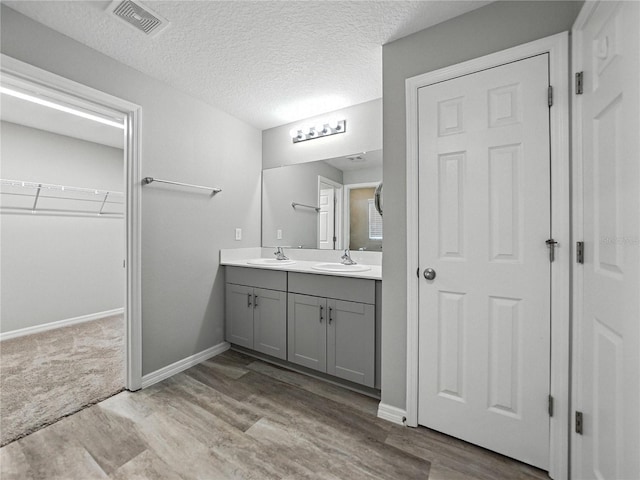 12931 Twin Bridges Dr, Riverview, FL 33579 - bathroom featuring double vanity, wood finished floors, a spacious closet, and a textured ceiling