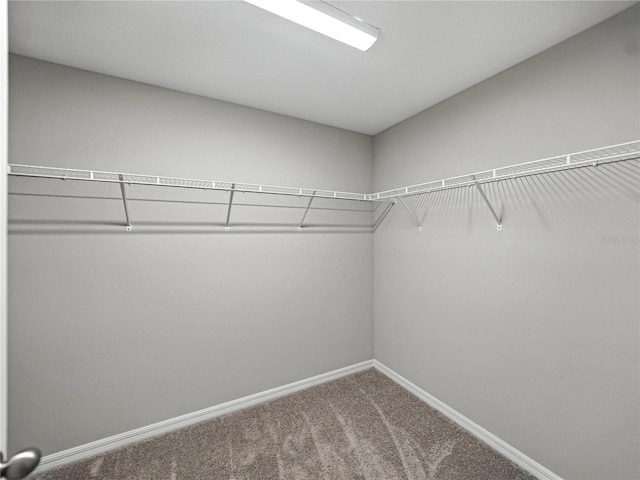 12931 Twin Bridges Dr, Riverview, FL 33579 - spacious closet with carpet flooring