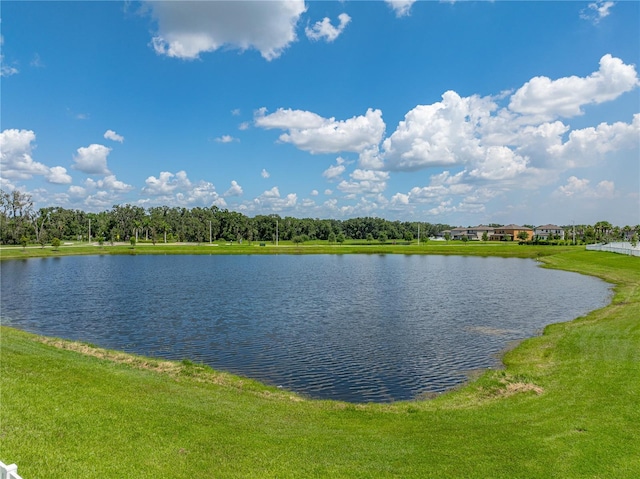 12931 Twin Bridges Dr, Riverview, FL 33579 - water view