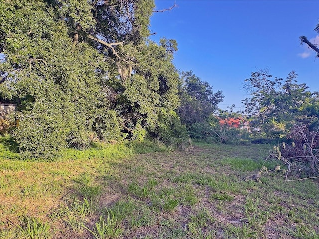 3609 E N Bay St, Tampa, FL 33610