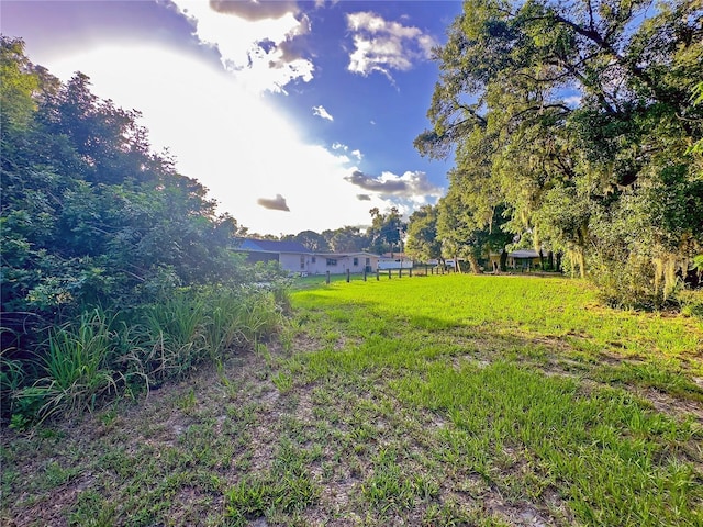 3607 E N Bay St, Tampa, FL 33610 - photo 9