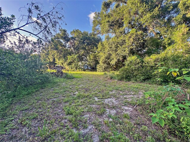3607 E N Bay St, Tampa, FL 33610 - photo 10
