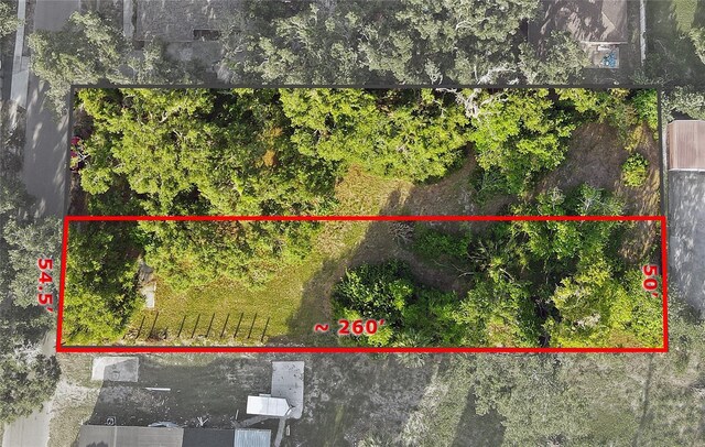 3607 E N Bay St, Tampa, FL 33610 - photo 3