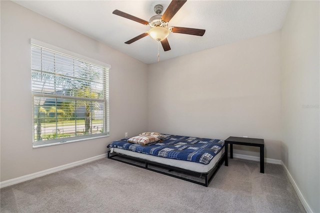 4726 Wild Senna Blvd, Tampa, FL 33619 - photo 3