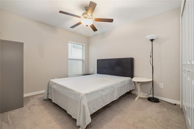 4726 Wild Senna Blvd, Tampa, FL 33619 - photo 5