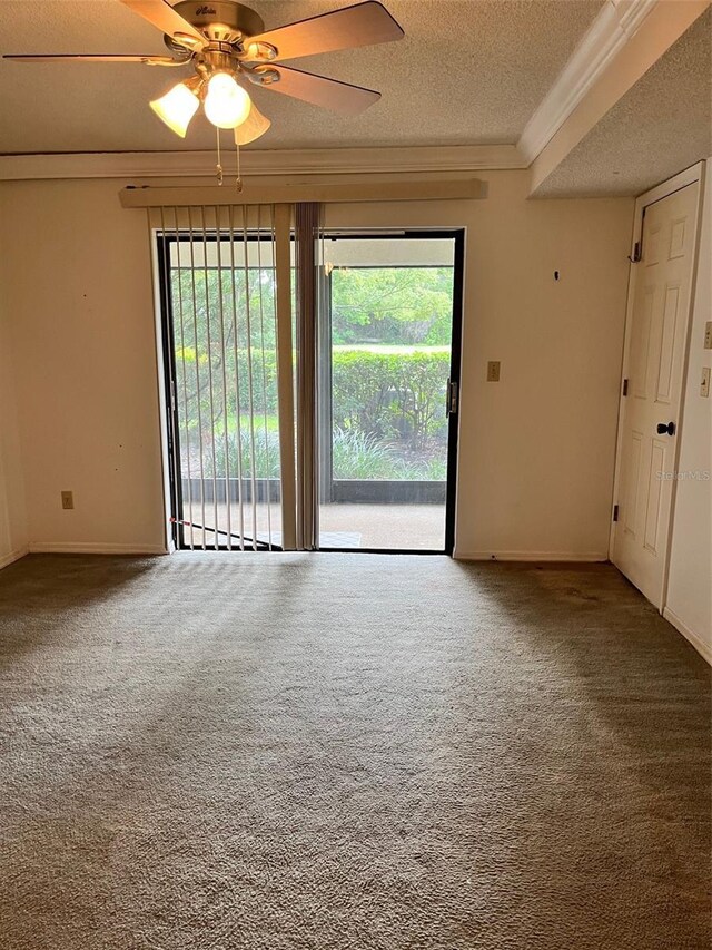 3151 Landmark Dr Unit 115, Clearwater, FL 33761 - photo 12