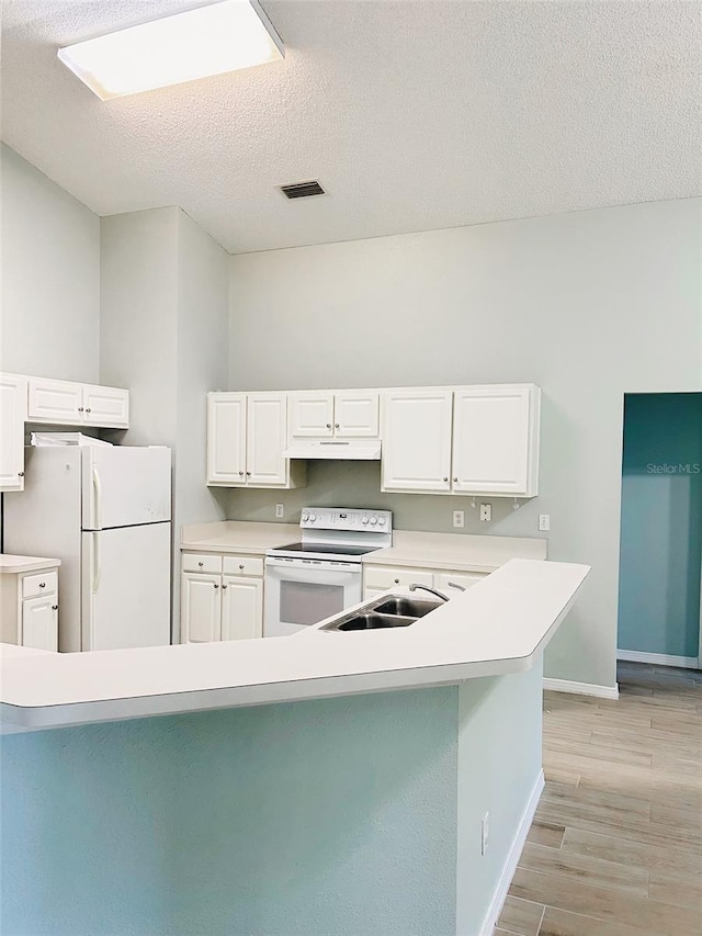 1990 Eclipse Dr, Middleburg, FL 32068 - kitchen featuring white appliances, under cabinet range hood, light countertops, light wood-type flooring, and white cabinets