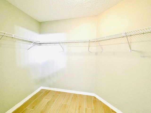 1990 Eclipse Dr, Middleburg, FL 32068 - walk in closet featuring light wood-style flooring