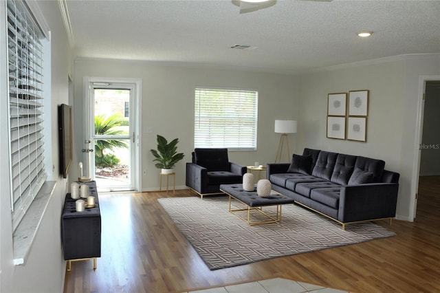6144 Elmhurst Dr, New Port Richey, FL 34653 - living room with wood finished floors, a textured ceiling, and ornamental molding