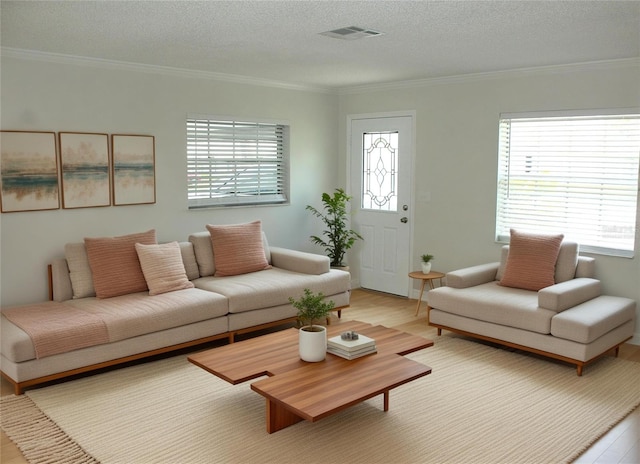 6144 Elmhurst Dr, New Port Richey, FL 34653 - living room with light wood-style flooring, crown molding, plenty of natural light, and a textured ceiling