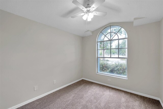243 Chardonnay Pl, Valrico, FL 33594 - photo 16